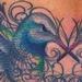 Tattoos - hummingbirds - 67960